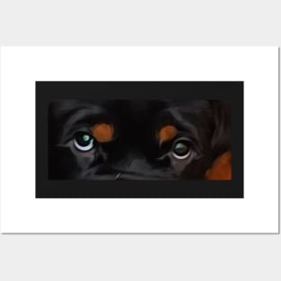 Rottweiler eyes cap hat design Posters and Art